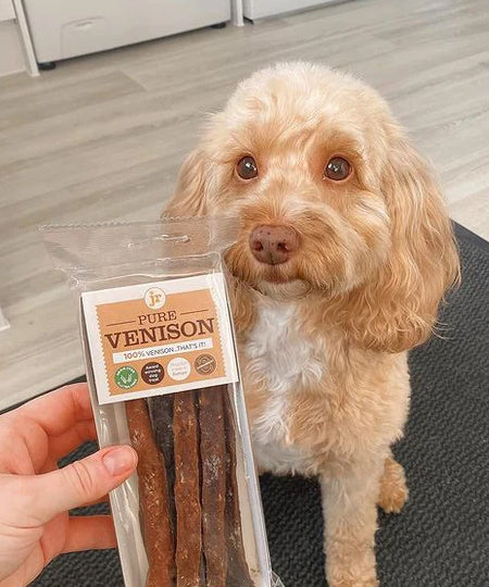 JR-pet-products-friandises-pour-chien-stick-cerf