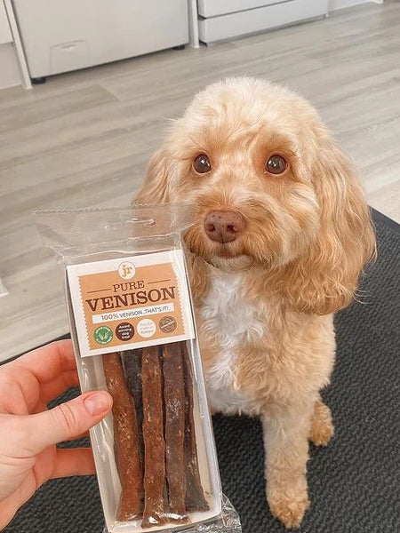 JR-pet-products-friandises-pour-chien-stick-cerf