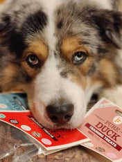 JR-pet-products-friandises-pour-chien-training-canard