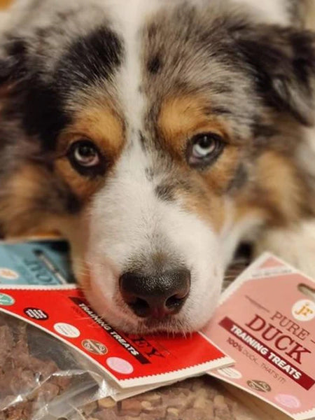 JR-pet-products-friandises-pour-chien-training-canard