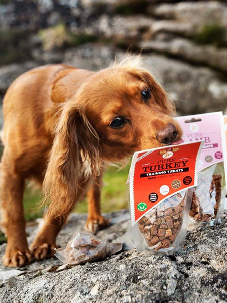 JR-pet-products-friandises-pour-chien-training-dinde