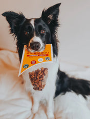 JR-pet-products-friandises-pour-chien-training-kangourou