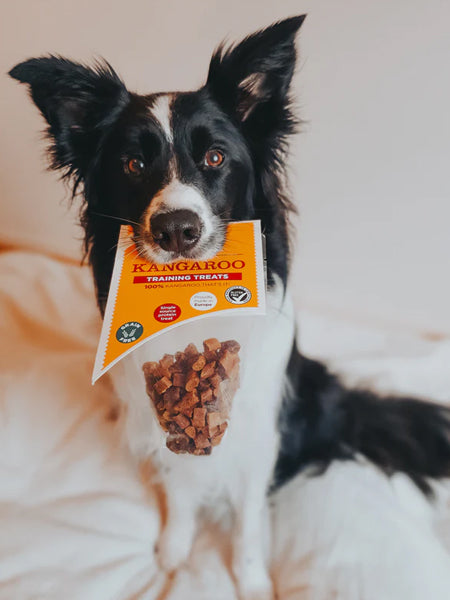 JR-pet-products-friandises-pour-chien-training-kangourou