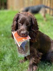 Friandises d'éducation pour chien - Poulet - JR Pet Products - inooko