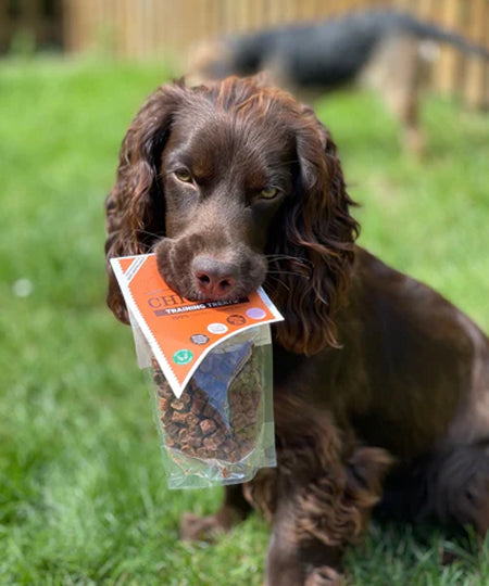 Friandises d'éducation pour chien - Poulet - JR Pet Products - inooko