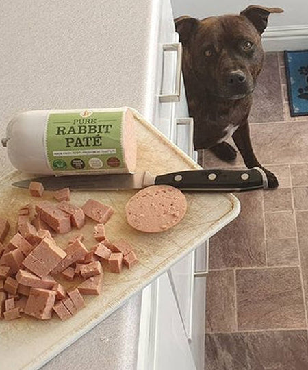 JR-pet-products-pure-patee-pour-chien-lapin