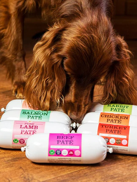 JR-pet-products-pure-patee-pour-chien-sanglier