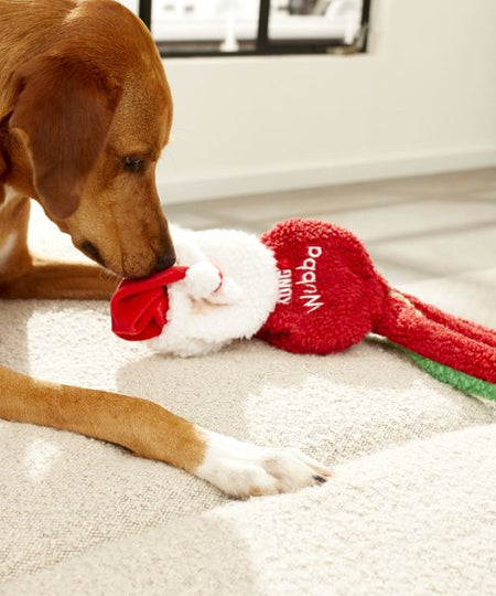 Jouet-KONG-Holiday-Wubba-Flatz-Santa-peluche-pere-noel