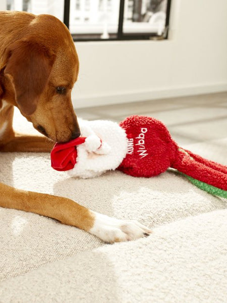 Jouet-KONG-Holiday-Wubba-Flatz-Santa-peluche-pere-noel