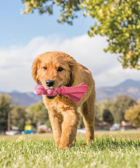 Jouet-KONG-Wubba-Puppy-chiot