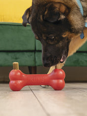 Jouet-KONG-friandises-Ziggies-enhanced-pour-chien