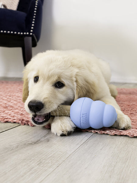 Jouet-KONG-friandises-Ziggies-enhanced-pour-chiot