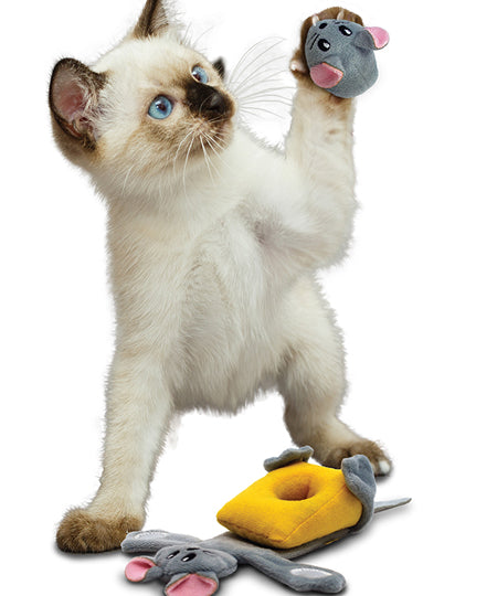 Jouet-interactif-KONG-chat-Pull-A-Partz-cheezy