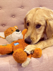 Jouet-peluche-KONG-Wild-Knots-fox