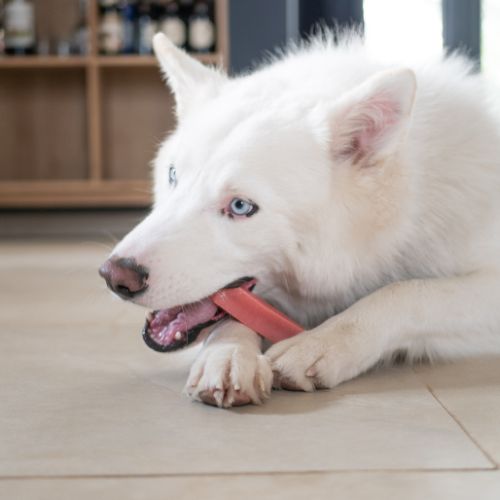 Jouets à mâcher chien - yak