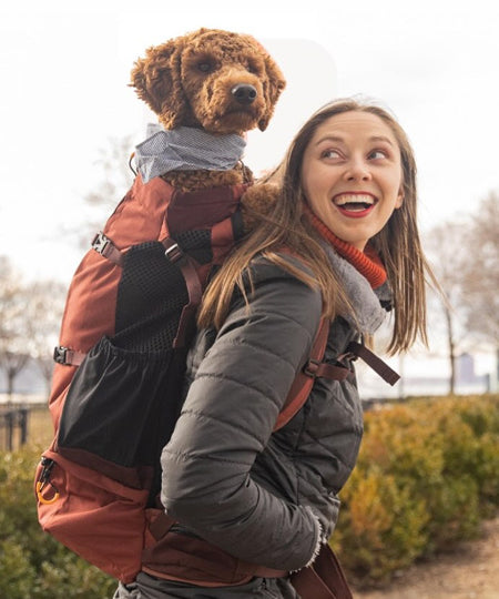 K9-Sport-Sack-Knavigate-sac-a-dos-transport-chien-dune