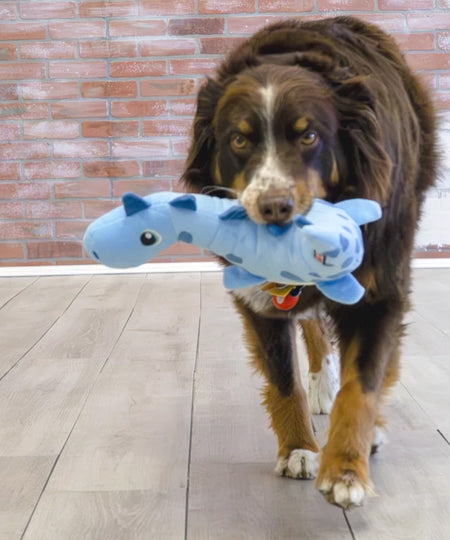 KONG-Dynos-Roars-Jouet-peluche-pour-chien