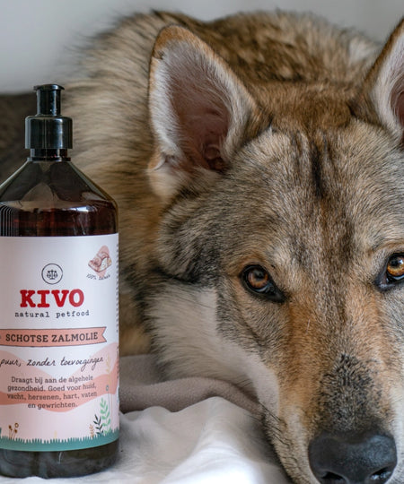 Kivo-natural-pet-food-huile-de-saumon-pour-chien