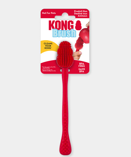 Kong-Brush-brosse-nettoyante-jouet-occupation-pour-chien