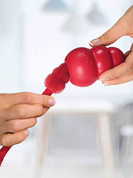 Kong-Brush-brosse-nettoyante-jouet-occupation-pour-chien