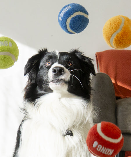 Kong-balle-tennis-pour-chien-Sport-Softies-Balls-taille-M