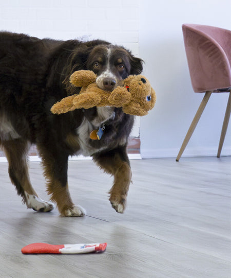 Kong-jouet-peluche-pour-chien-golden-Pups-Goldie