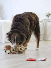 Kong-jouet-peluche-pour-chien-golden-Pups-Goldie