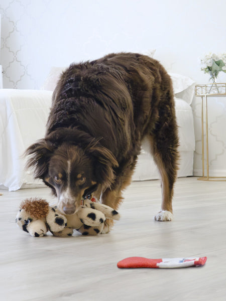 Kong-jouet-peluche-pour-chien-golden-Pups-Goldie