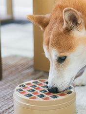 Lambwolf-Collective-gamelle-enrichissement-pour-chien-bento-rose