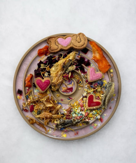 Lambwolf-Collective-gamelle-enrichissement-pour-chien-bento-rose