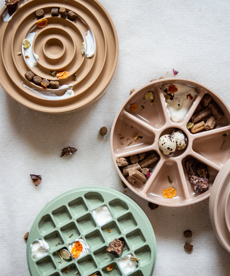 Lambwolf-Collective-gamelle-enrichissement-pour-chien-bento