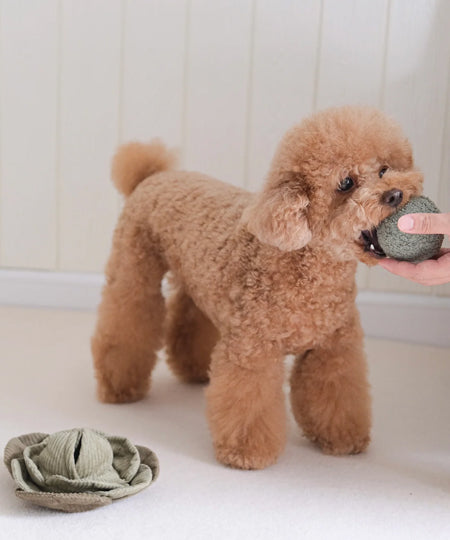 Lambwolf-Collective-jouet-balle-fouiller-design-minimalist-pour-chien-chou