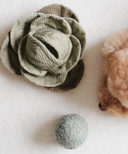 Lambwolf-Collective-jouet-balle-fouiller-design-minimalist-pour-chien-chou