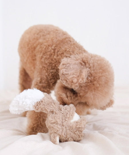 Lambwolf-Collective-jouet-design-minimalist-pour-chien-Fox-Pop