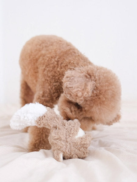 Lambwolf-Collective-jouet-design-minimalist-pour-chien-Fox-Pop