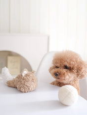 Lambwolf-Collective-jouet-design-minimalist-pour-chien-Fox-Pop