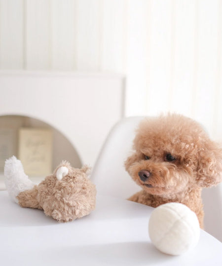 Lambwolf-Collective-jouet-design-minimalist-pour-chien-Fox-Pop