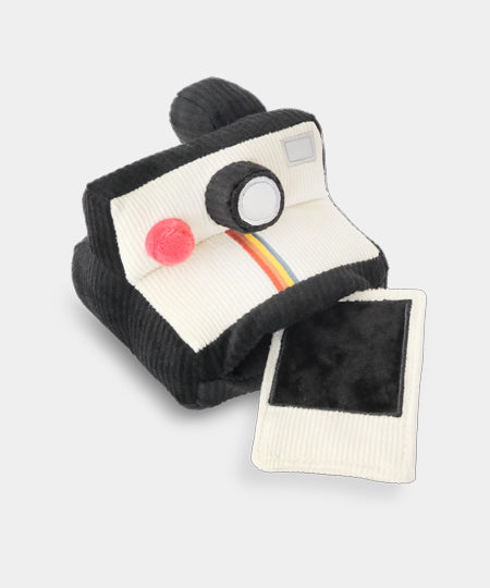 Lambwolf-Collective-jouet-design-minimalist-pour-chien-appareil-photo