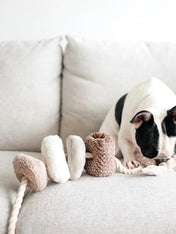 Lambwolf-Collective-jouet-design-minimalist-pour-chien-blocs-nude