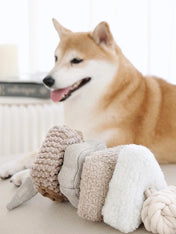 Lambwolf-Collective-jouet-design-minimalist-pour-chien-blocs-nude