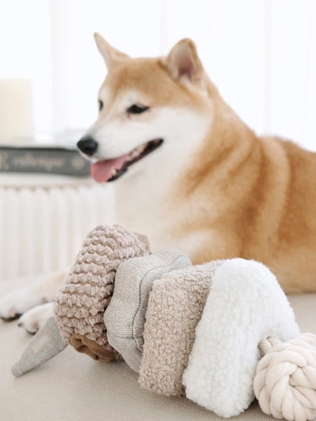 Lambwolf-Collective-jouet-design-minimalist-pour-chien-blocs-nude