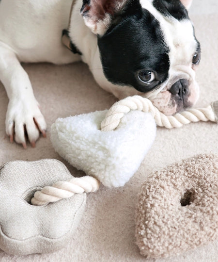 Lambwolf-Collective-jouet-design-minimalist-pour-chien-blocs-nude