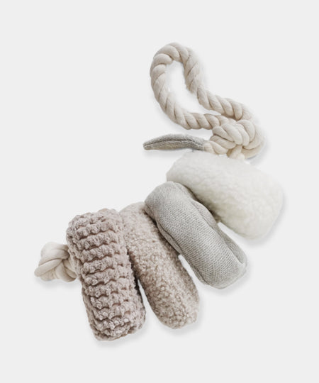 Lambwolf-Collective-jouet-design-minimalist-pour-chien-blocs-nude