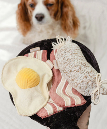 Lambwolf-Collective-jouet-design-minimalist-pour-chien-breakfast