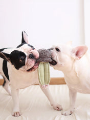 Lambwolf-Collective-jouet-design-minimalist-pour-chien-cactus