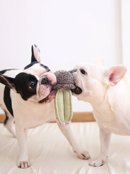 Lambwolf-Collective-jouet-design-minimalist-pour-chien-cactus