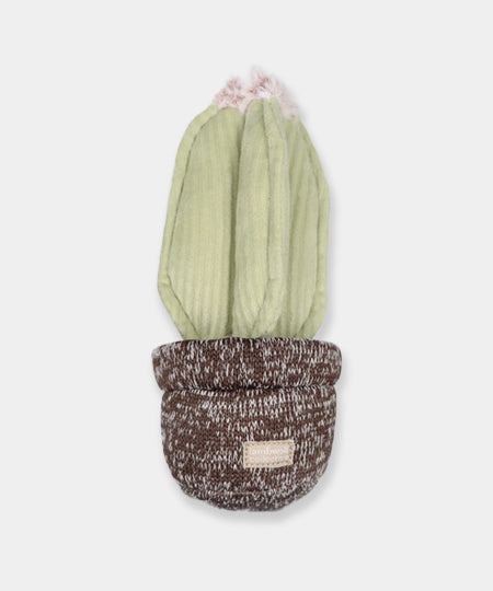 Lambwolf-Collective-jouet-design-minimalist-pour-chien-cactus