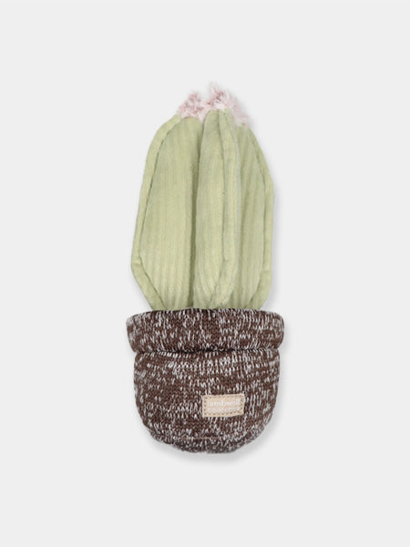 Lambwolf-Collective-jouet-design-minimalist-pour-chien-cactus