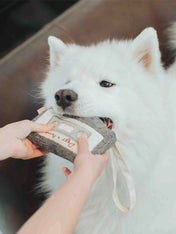 Lambwolf-Collective-jouet-design-minimalist-pour-chien-casette