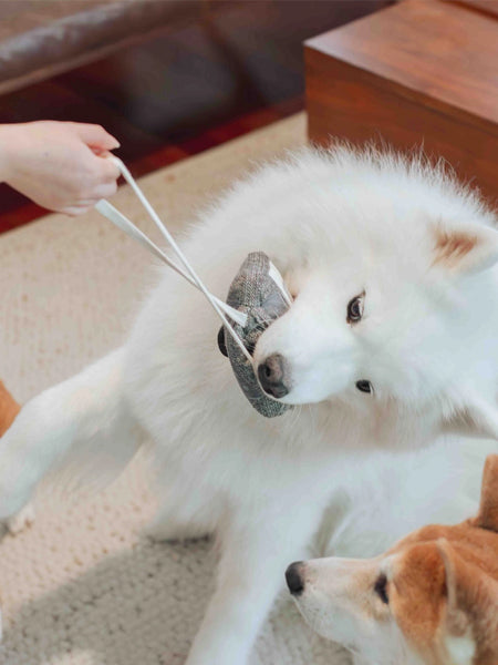 Lambwolf-Collective-jouet-design-minimalist-pour-chien-casette